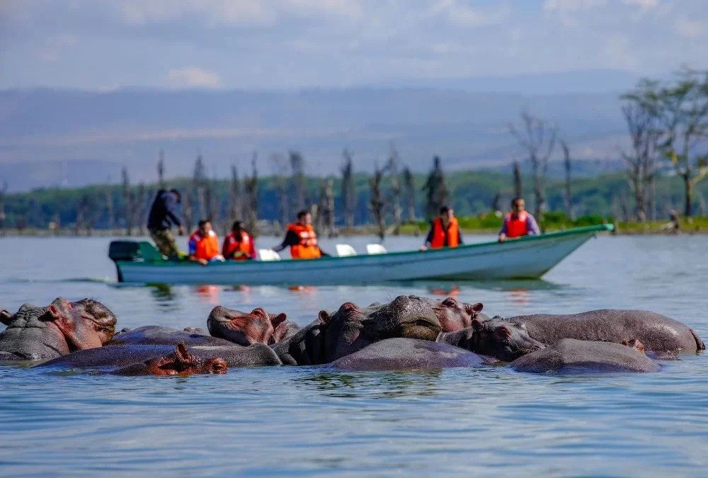 Beautiful tranquil views over Lake Burigi waterways in Tanzania