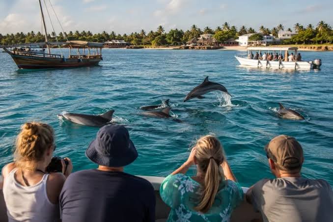 Pod of wild Indo Pacific bottlenose dolphins swimming near the ocean surface in clear water