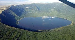 Pink lesser flamingos feeding in the shallow waters of the Empakai Crater caldera lake