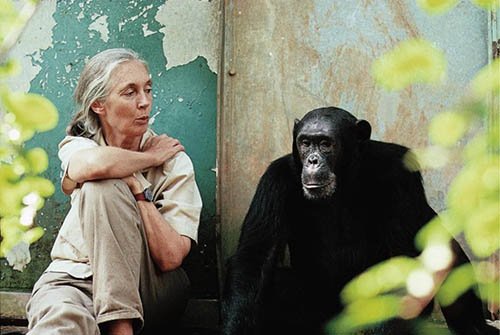 Jane Goodall peak overlooking Lake Tanganyika in Gombe