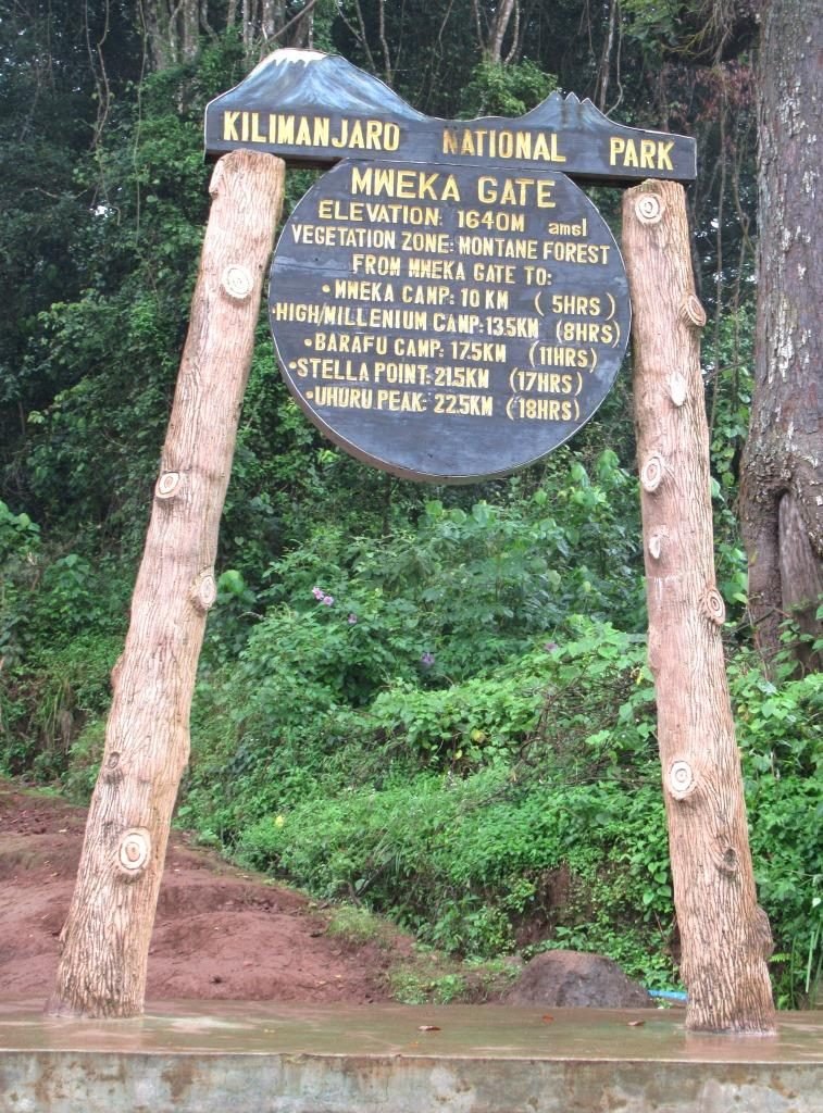 Mweka Gate Rainforest Forest Descent