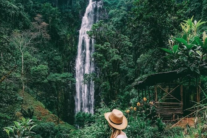 Stunning view of Materuni Waterfall cascading down high rocky cliff surrounded by lush green rainforest trees