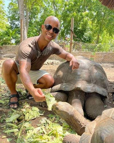 A huge Aldabra giant tortoise standing on the shaded grounds of Prison Island in Zanzibar