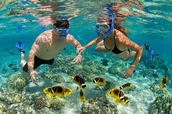 Scuba divers exploring a deep vertical wall dropoff in clear blue ocean water