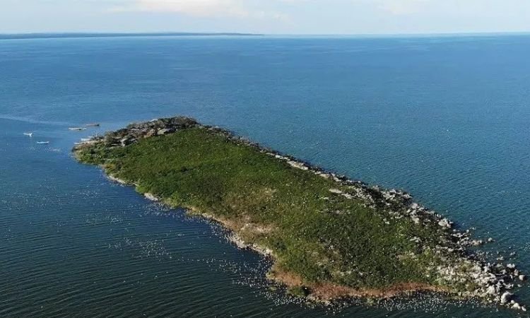 Scenic rural coastline of Ukerewe Island showing a traditional fishing village on Lake Victoria